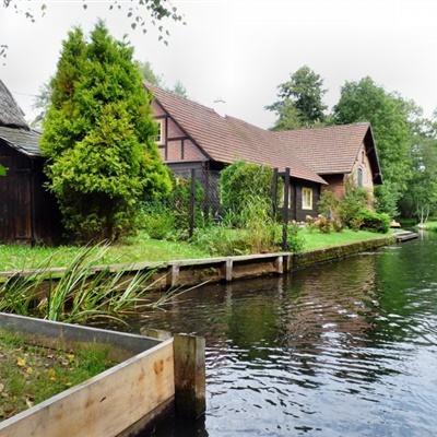 im电竞平台手机app下载